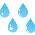 唾液の健康に欠かせない大切な役割